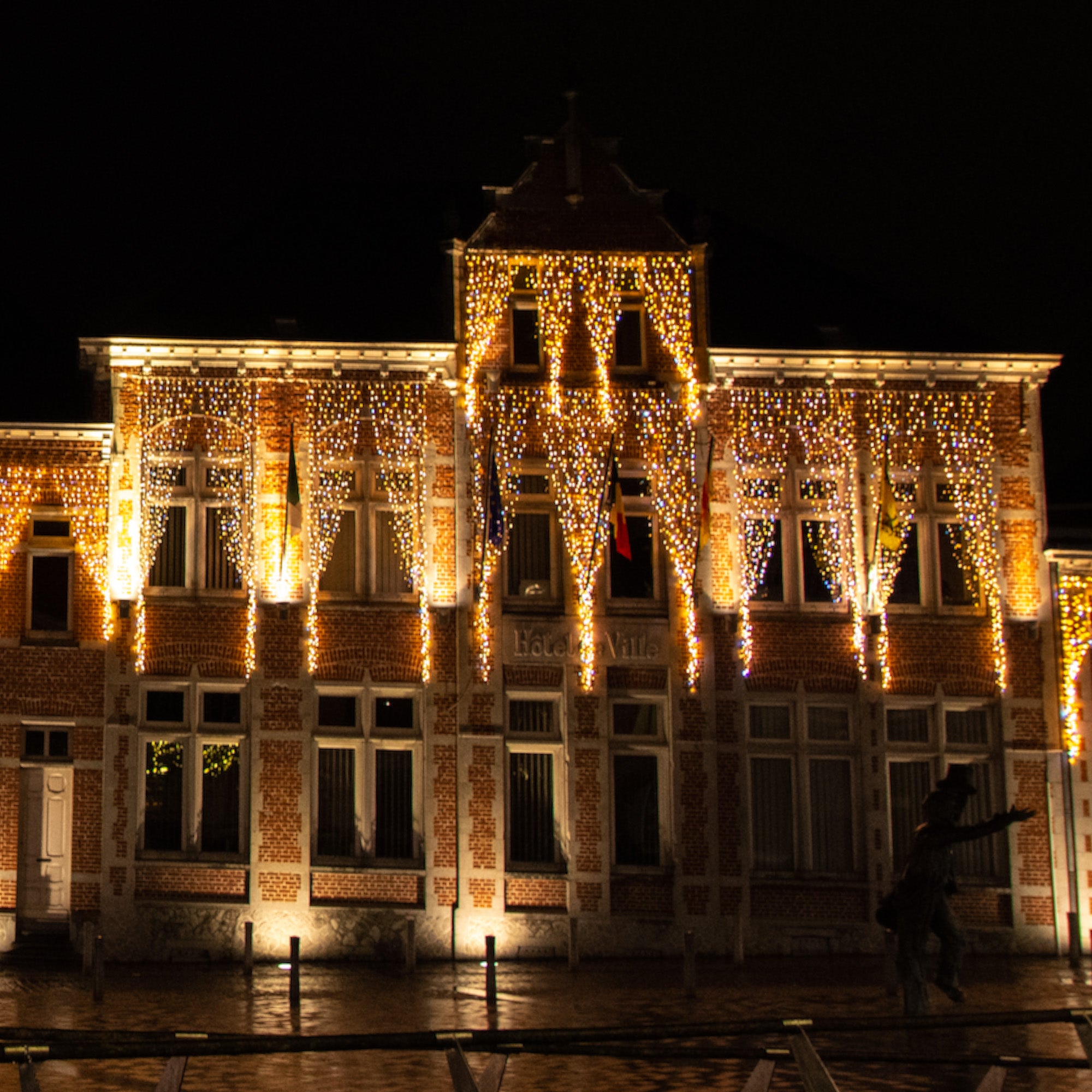 Rideau scintillant H10 x L2m - 230V